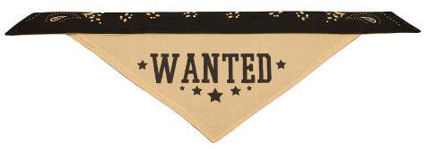 Dog Accessories - Apparel